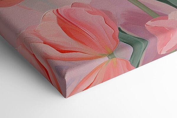 Rozkvetlé jemně růžové tulipány Rozkvetlé jemně růžové tulipány