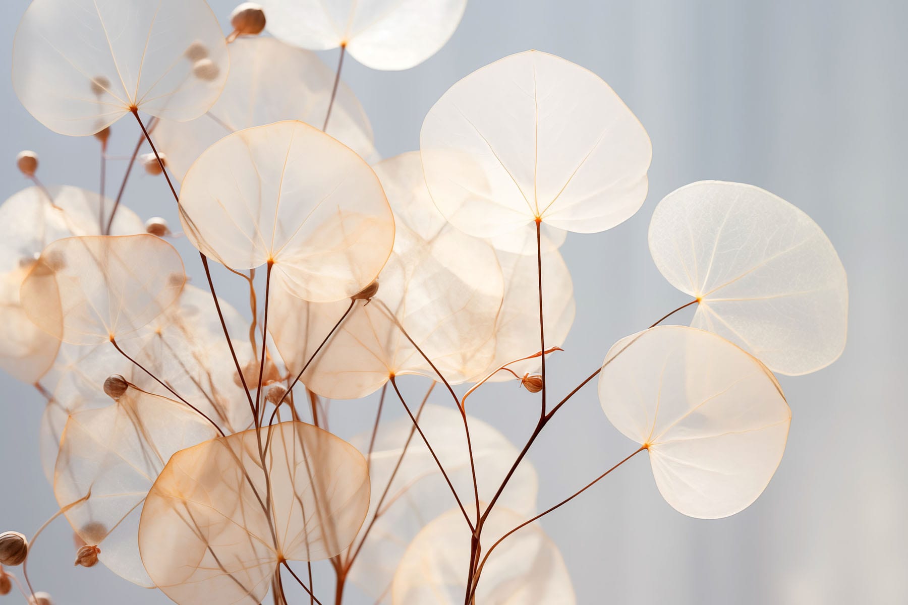 Delicate leaves gently swaying in light