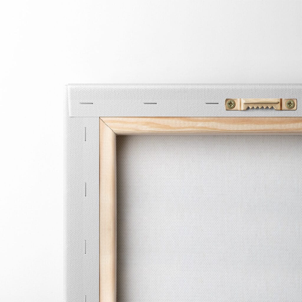 Cactus with thorns on it