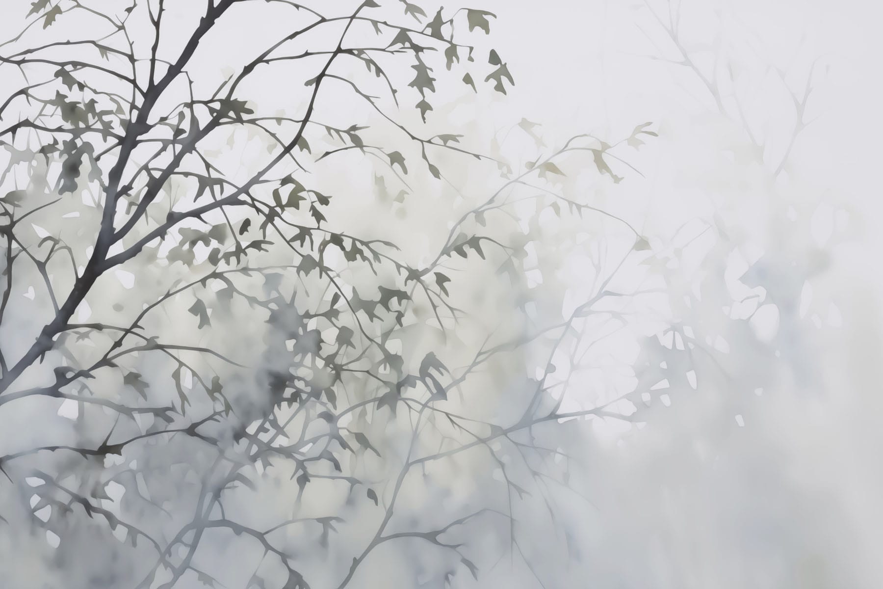 Tree with leaves in fog