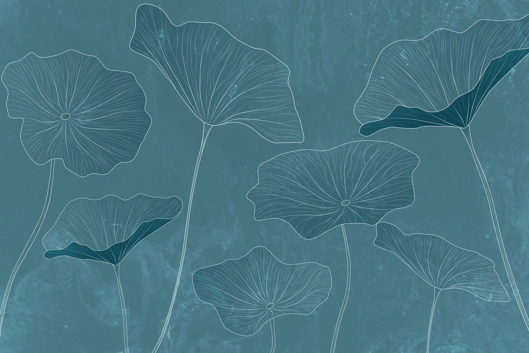 Drawing of leaves on a blue background