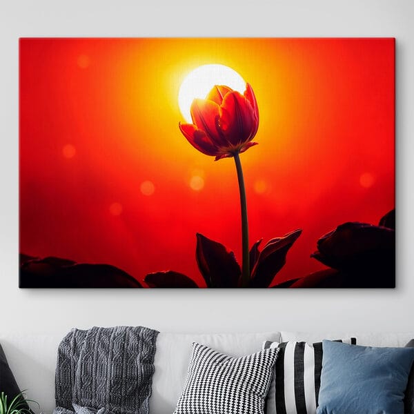 Červený tulipán se sluncem v zádech Červený tulipán se sluncem v zádech