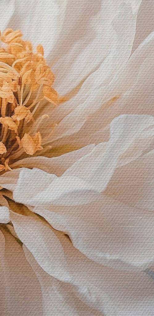 Delicate petals, nature's soft touch Delicate petals, nature's soft touch