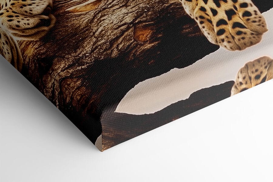 Obraz Leopard ležící na větvi stromu - Image 4