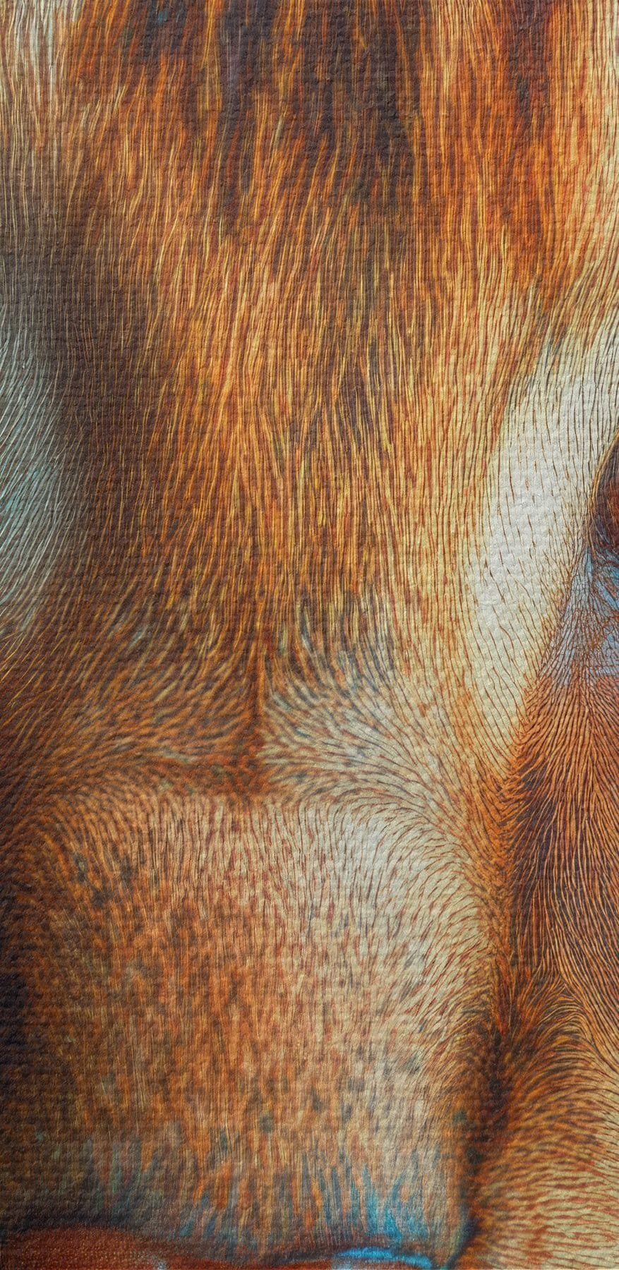 Majestátní kočka s výraznýma očima