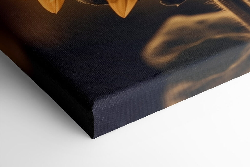 Vibrant petals in soft sunlight