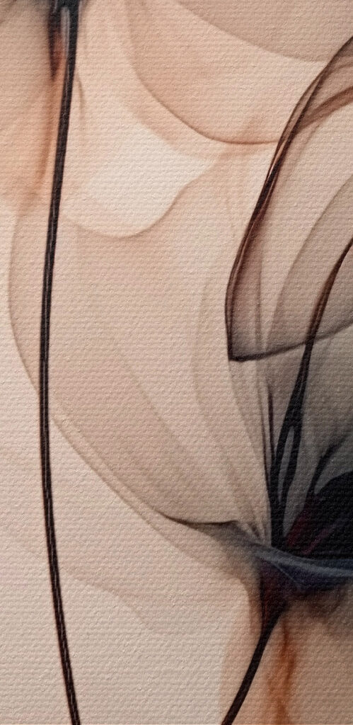 Delicate flow of translucent flowers