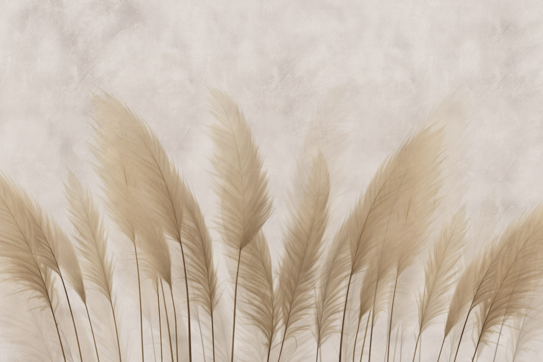Group of white feathers Group of white feathers