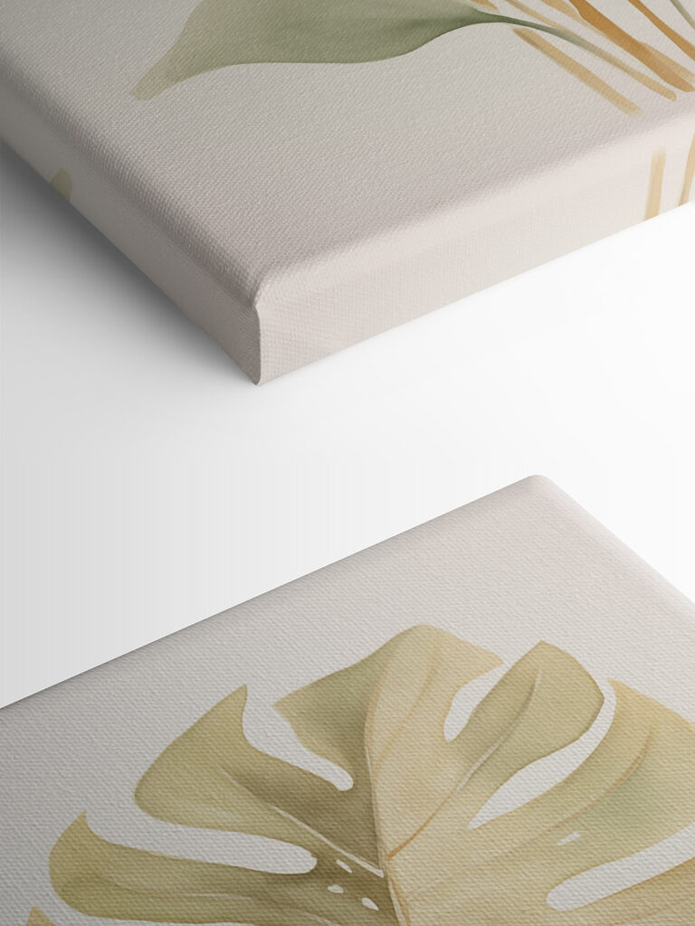 Group of leaves on a white background