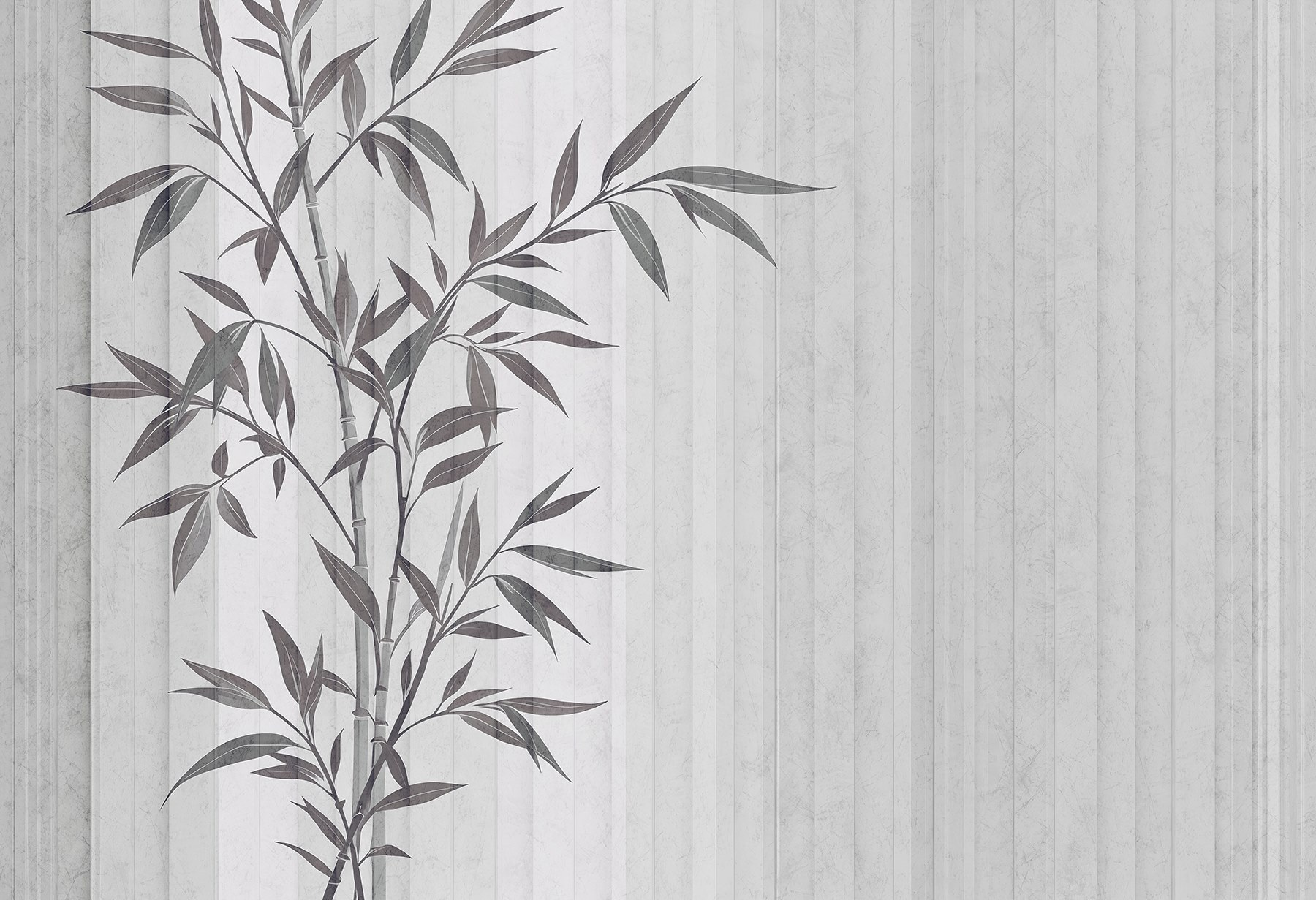 Plant with leaves on it Plant with leaves on it