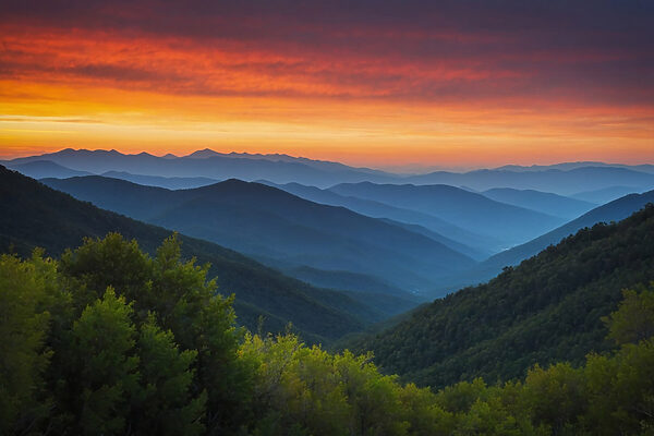 Landscape of mountains and trees Landscape of mountains and trees