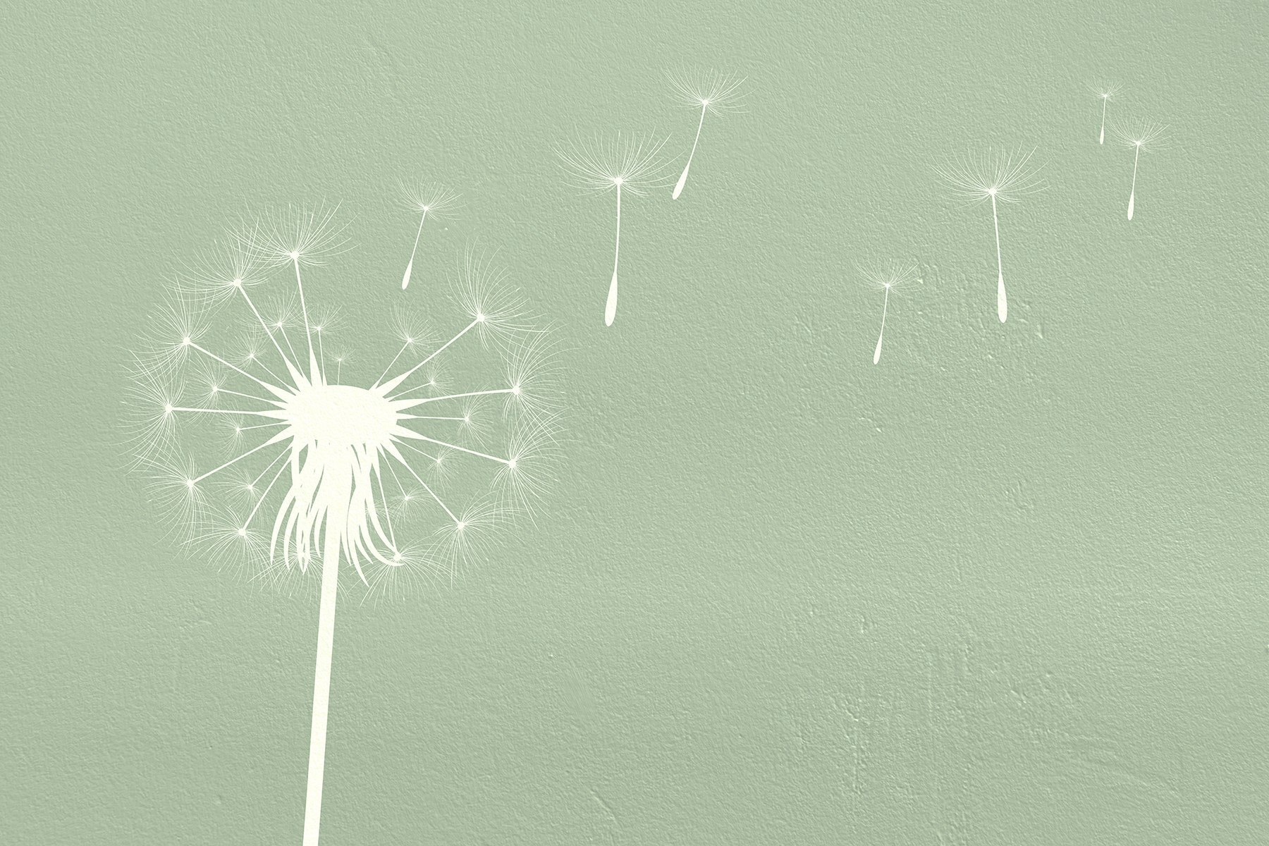 Dandelion seeds flying in the air