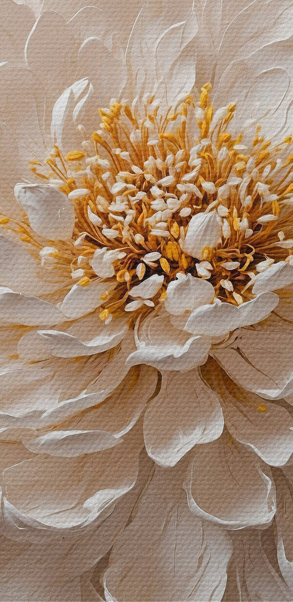 Elegantní okvětní lístky v jemné harmonii. Elegantní okvětní lístky v jemné harmonii.