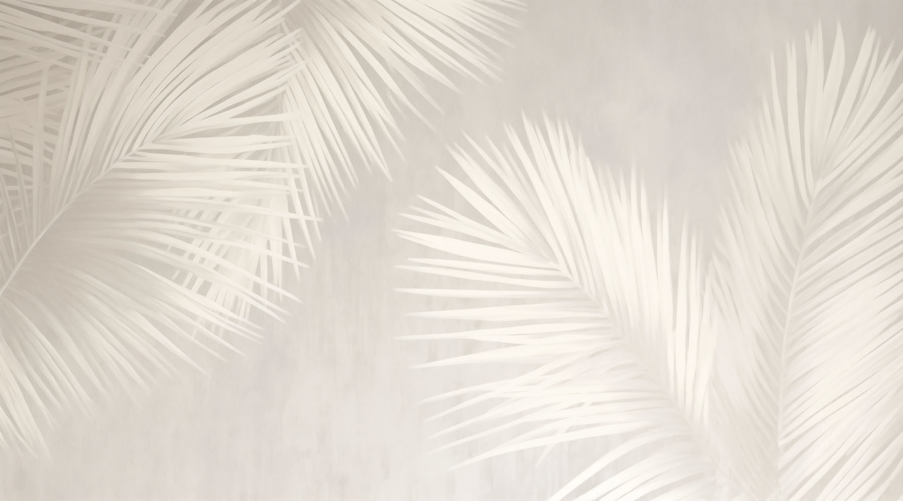 White leaves on a white background White leaves on a white background