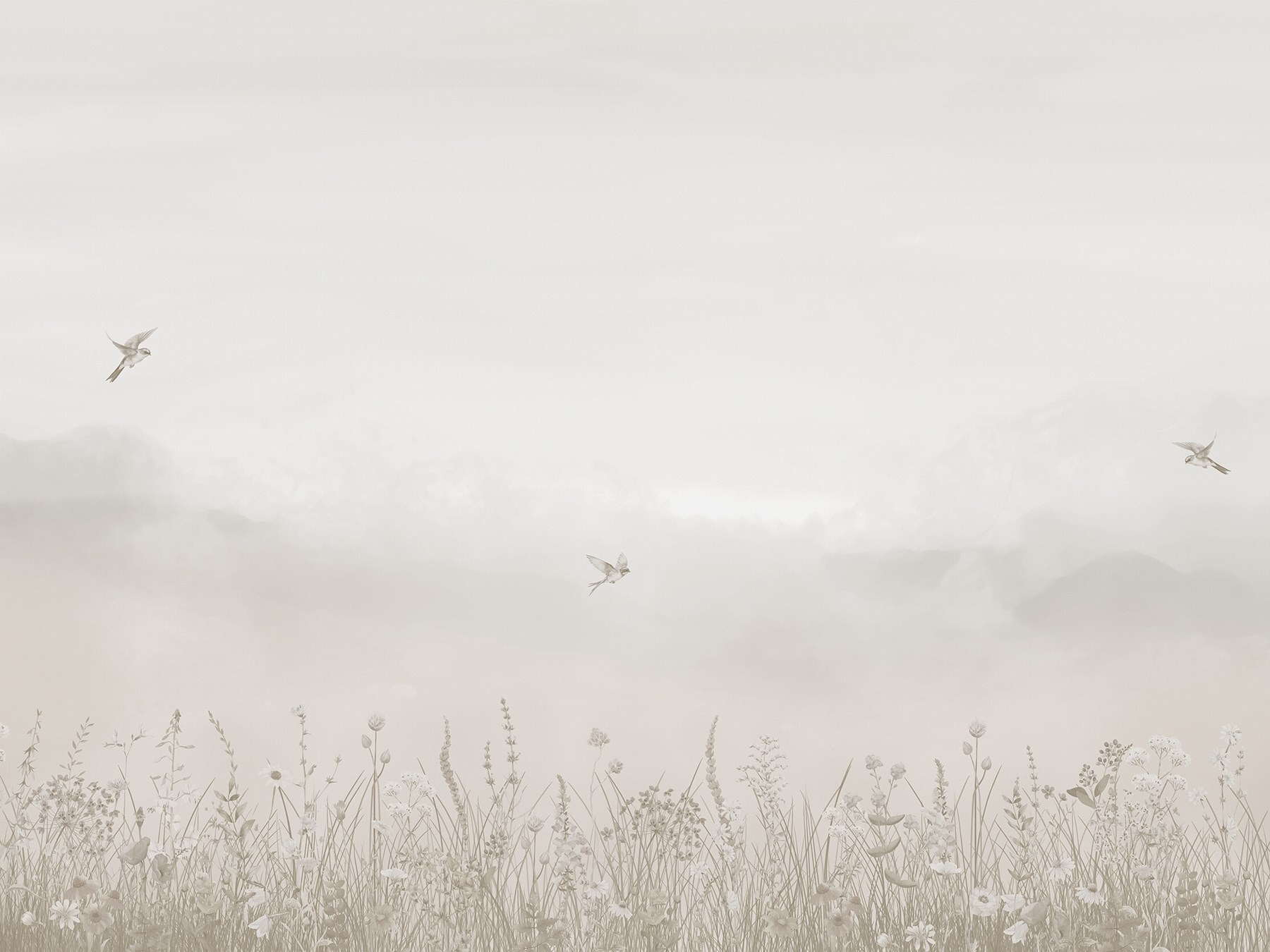 Bird flying over a field of flowers Bird flying over a field of flowers