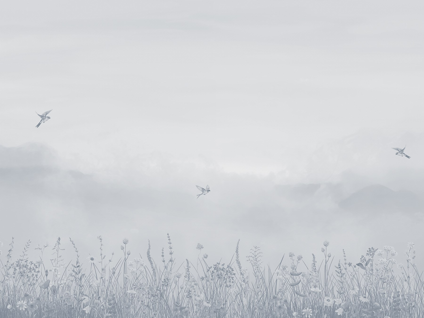 Bird flying over a field of flowers