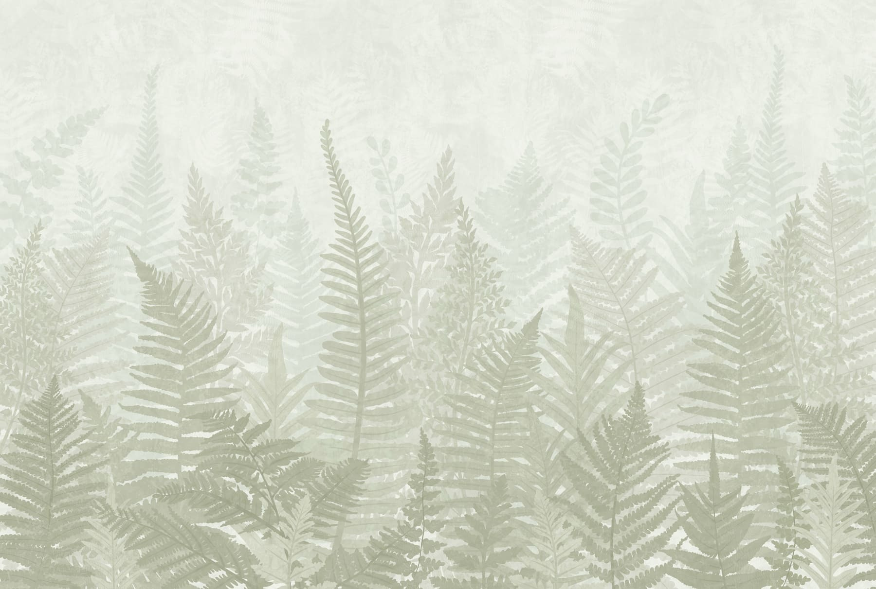 Fern leaves in a foggy environment
