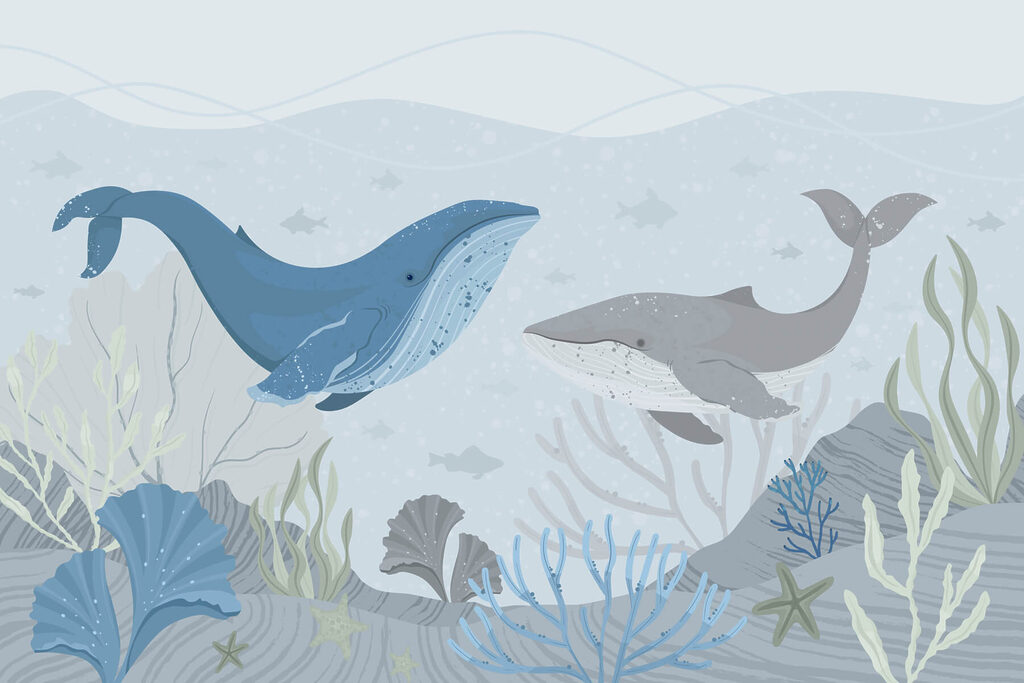 Velryba a velryba plavající v oceánu Velryba a velryba plavající v oceánu