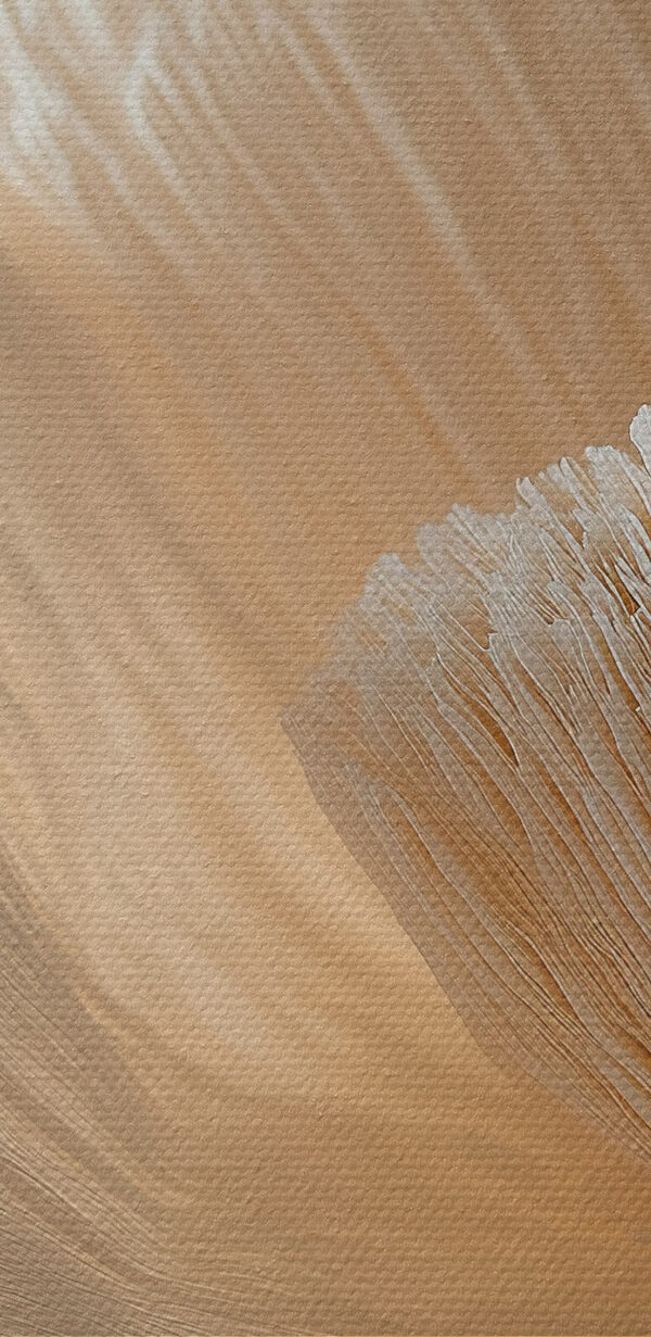Zobrazené okvětní lístky s jemnou texturou Zobrazené okvětní lístky s jemnou texturou