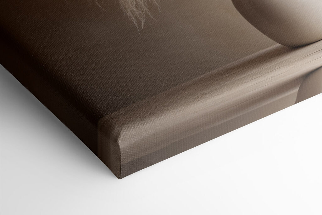 White vase with fluffy flowers White vase with fluffy flowers