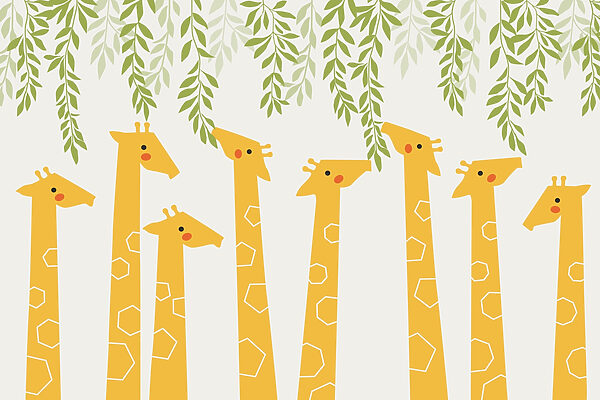 Group of giraffes with leaves