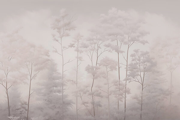 Group of trees with fog
