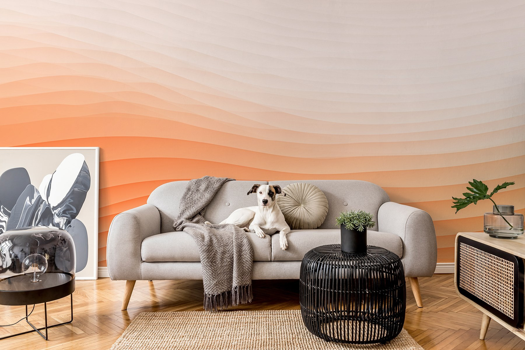 White and orange wavy lines White and orange wavy lines