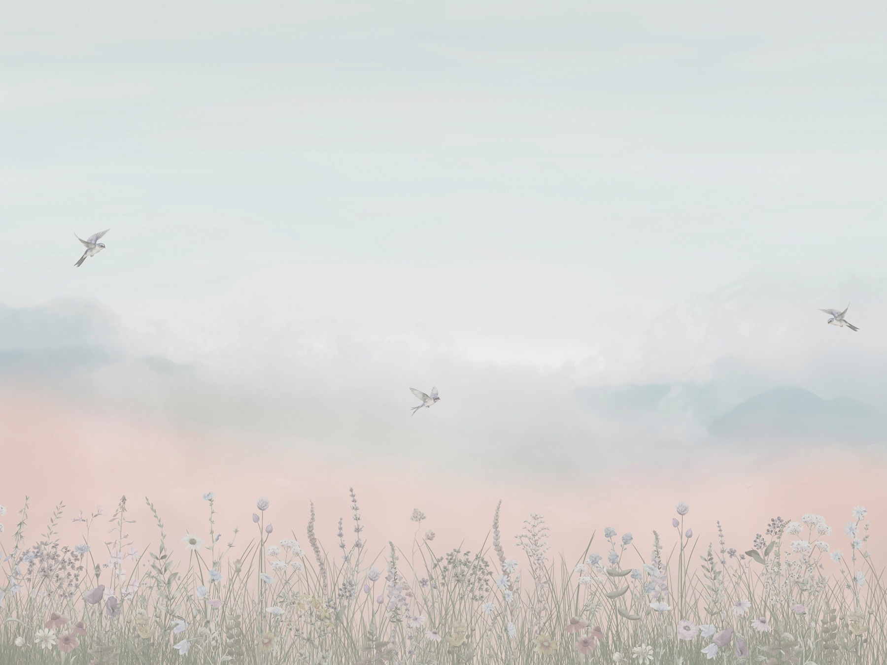 Field of flowers Field of flowers