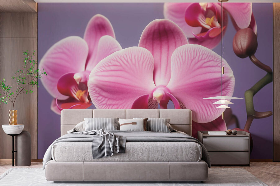 Jemné orchideje v jemných odstínech
