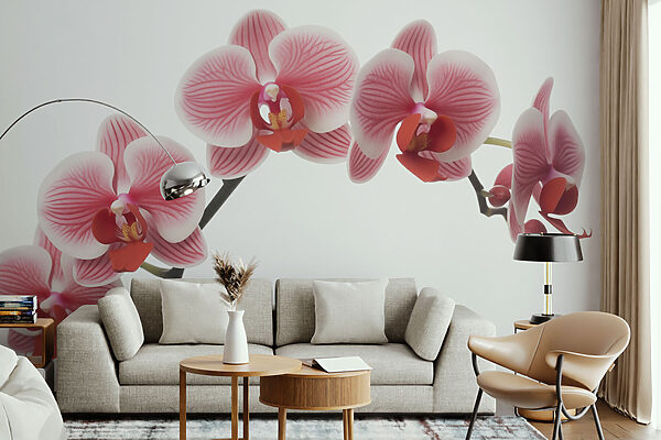 Fototapeta Fototapeta Jemné orchideje v něžném květu (Katalogové číslo: w03499)