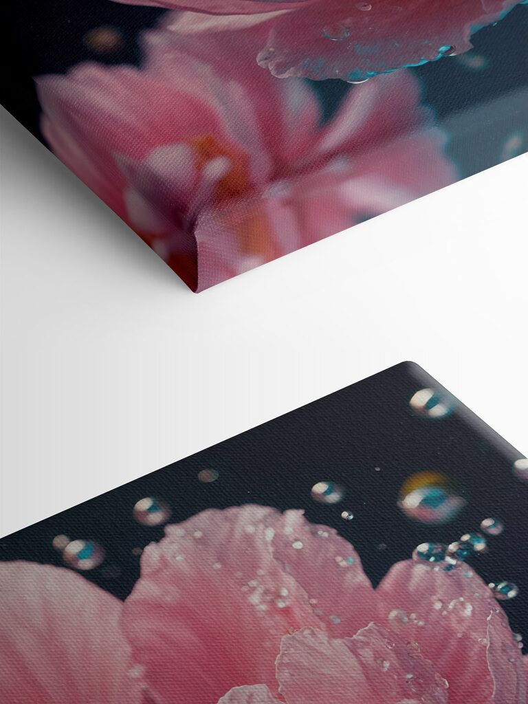 Delicate petals in tranquil water