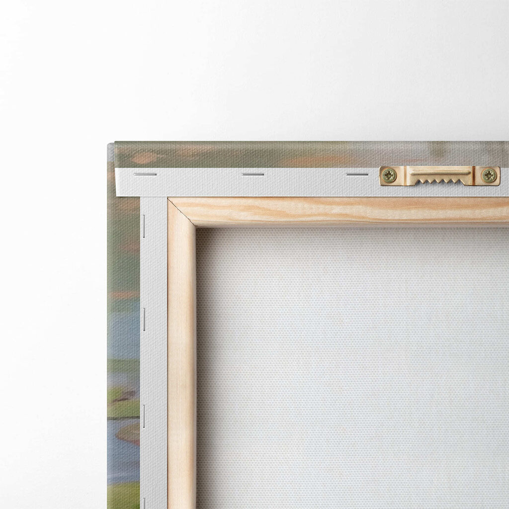 Group of pink flowers on lily pads