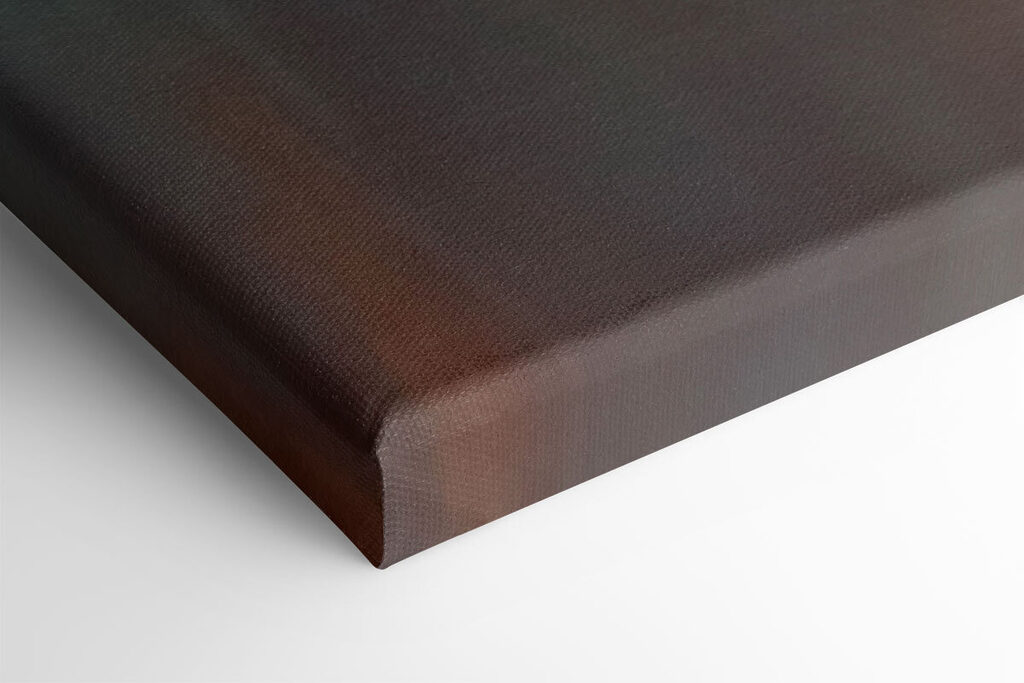 Elegant rose in soft hues