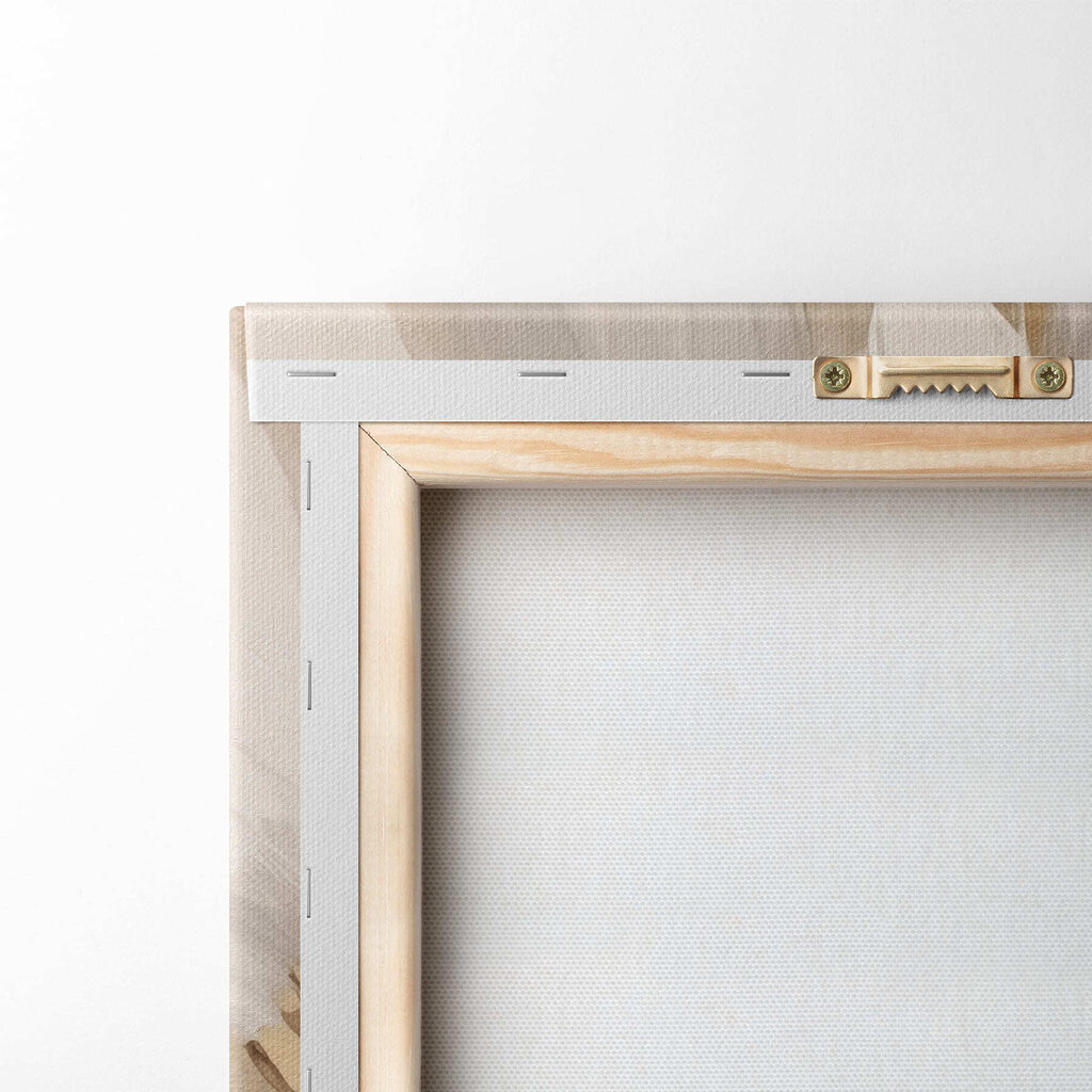 Delicate hues of soft white petals