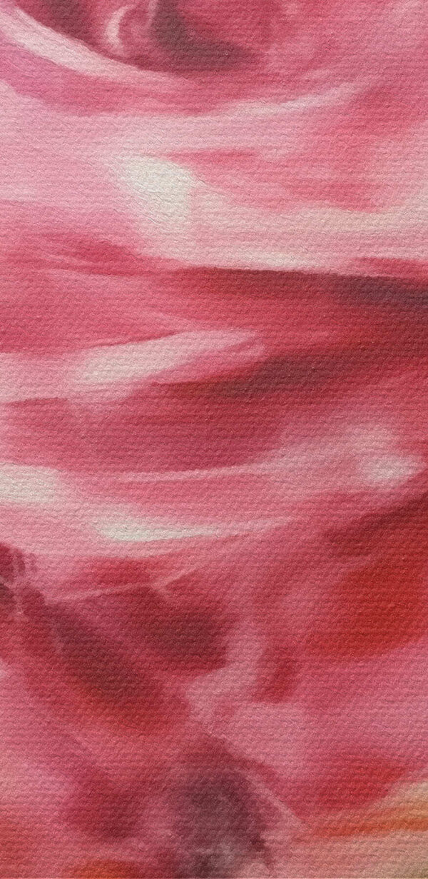 Malba růžové růže Malba růžové růže