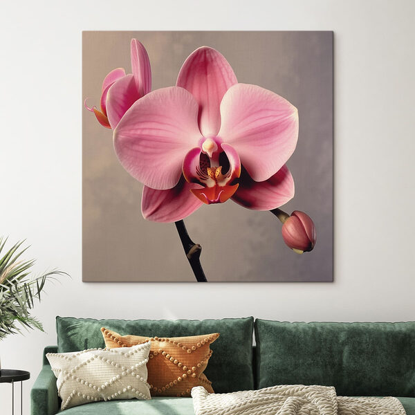 Jemná růžová orchidej v plném květu Jemná růžová orchidej v plném květu