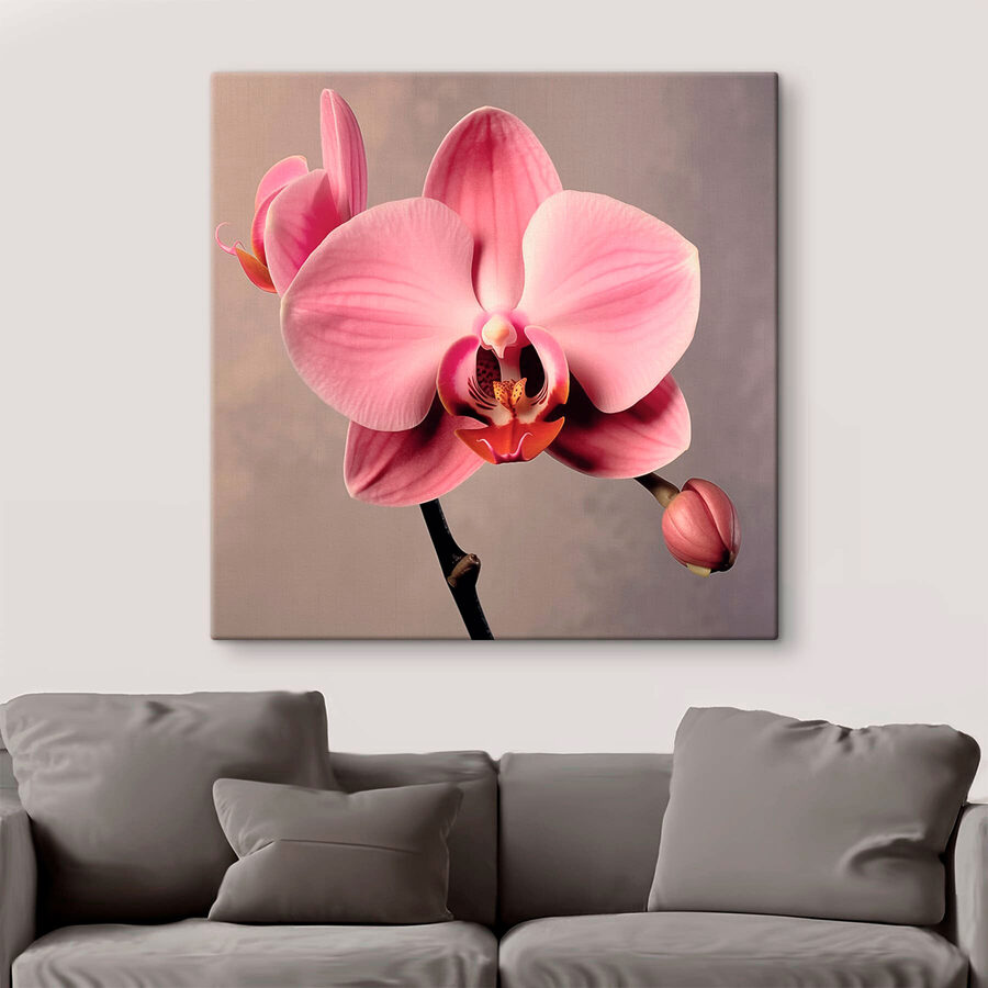 Jemná růžová orchidej v plném květu