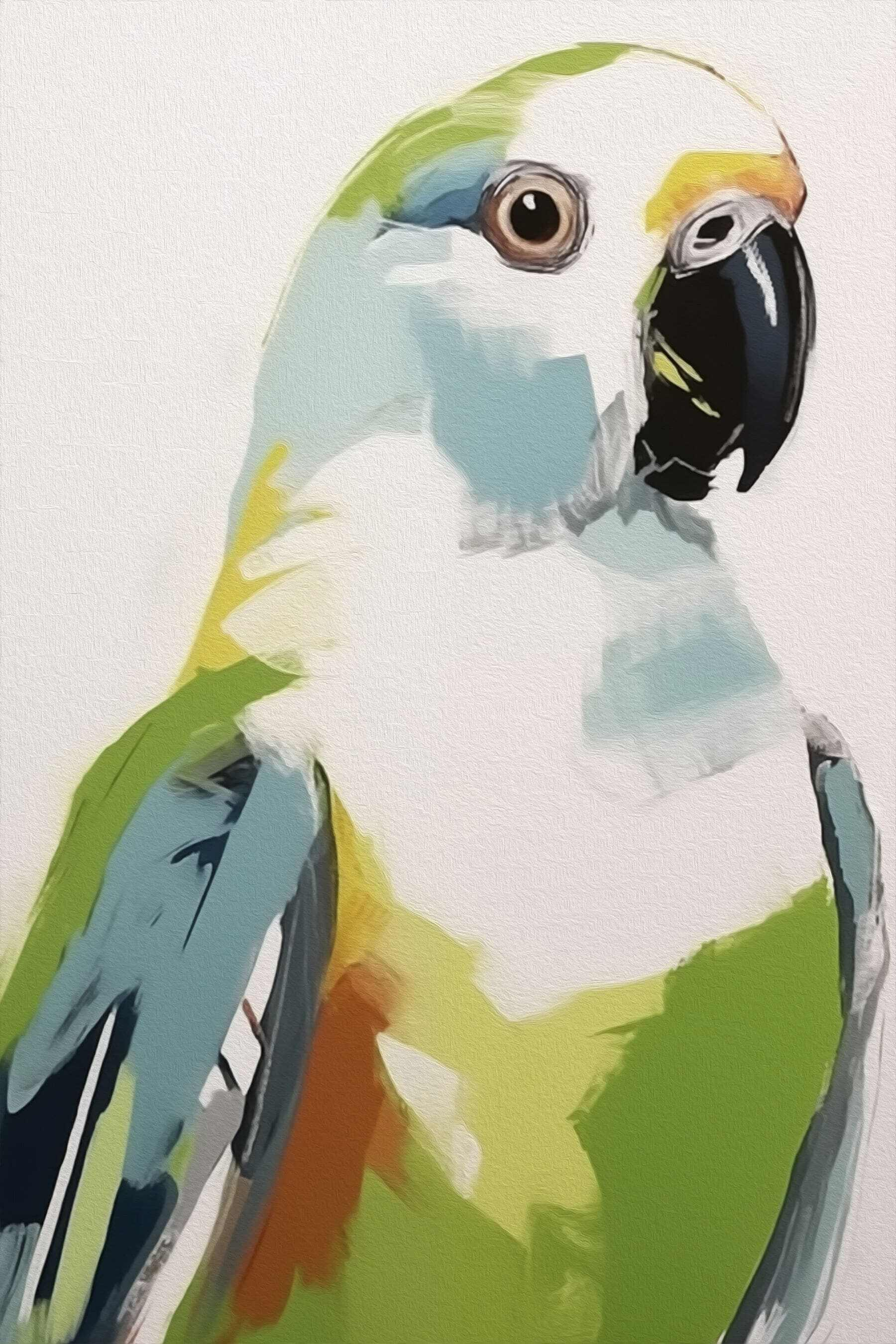 Colorful bird with black beak