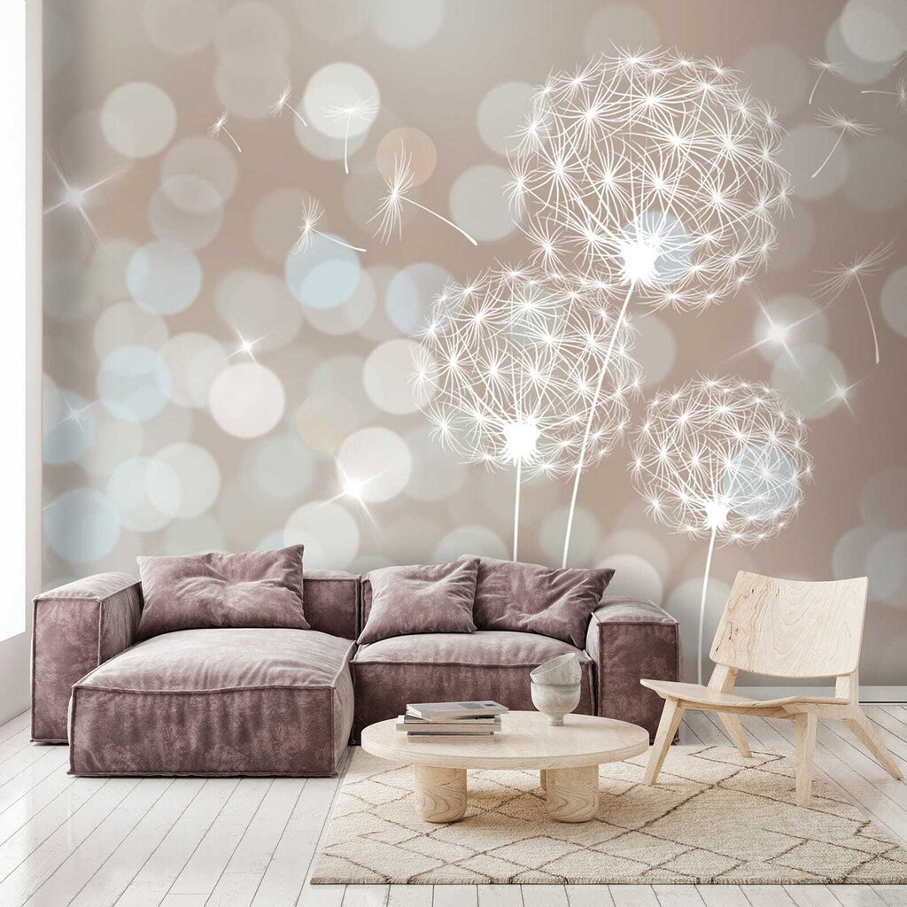 Delicate dandelions in soft backdrop Delicate dandelions in soft backdrop