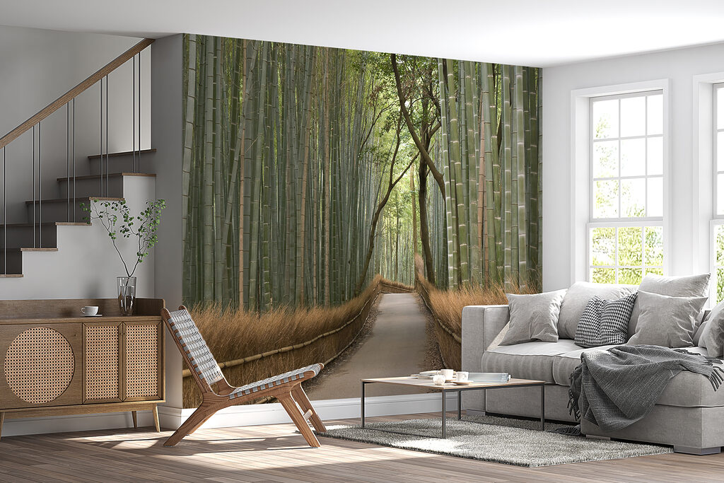 Path through a bamboo forest