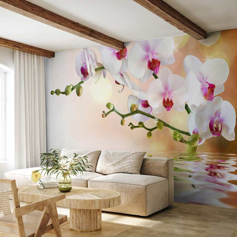 Fototapeta Bílé orchideje na větvi s vodními vlnkami - Image 2