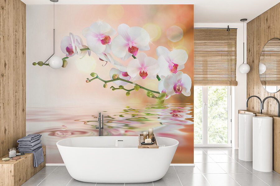 Fototapeta Bílé orchideje na větvi s vodními vlnkami - Image 3