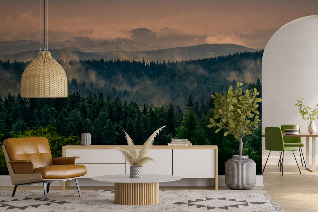 Forest with fog and clouds