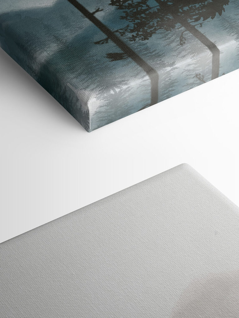 A group of trees in the mountains