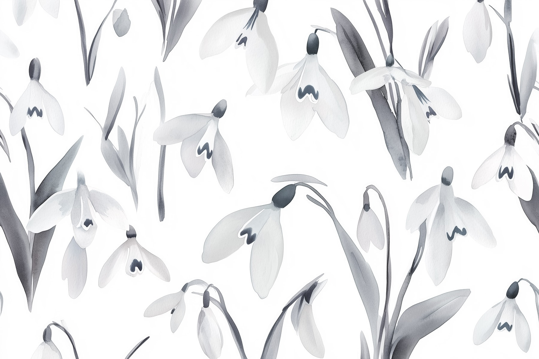 White flowers with gray leaves