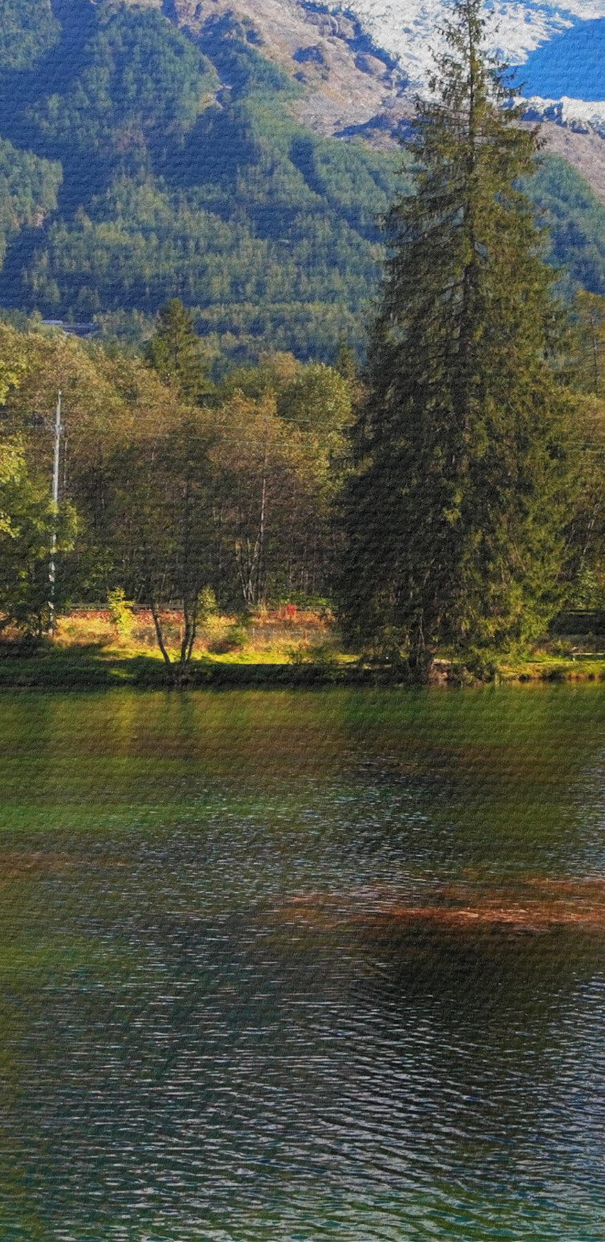 Jezero obklopené stromy a horami