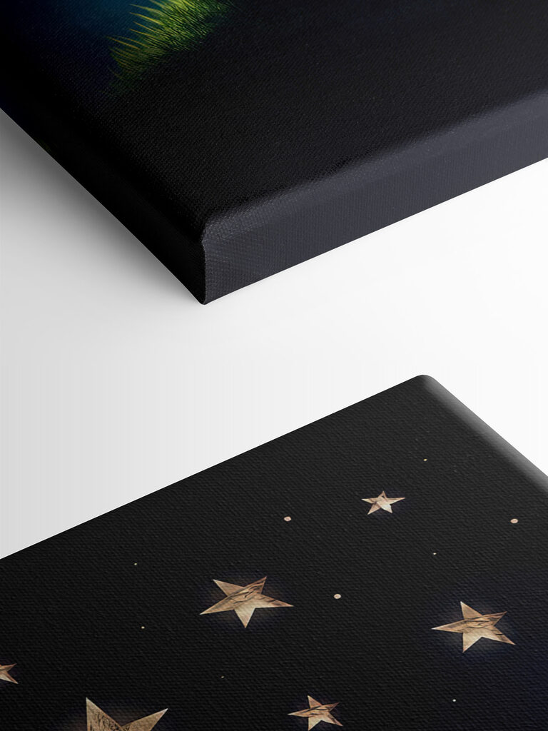 A fox and a little prince looking at stars