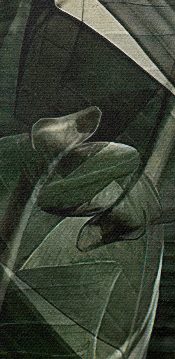 Detail rostliny Detail rostliny
