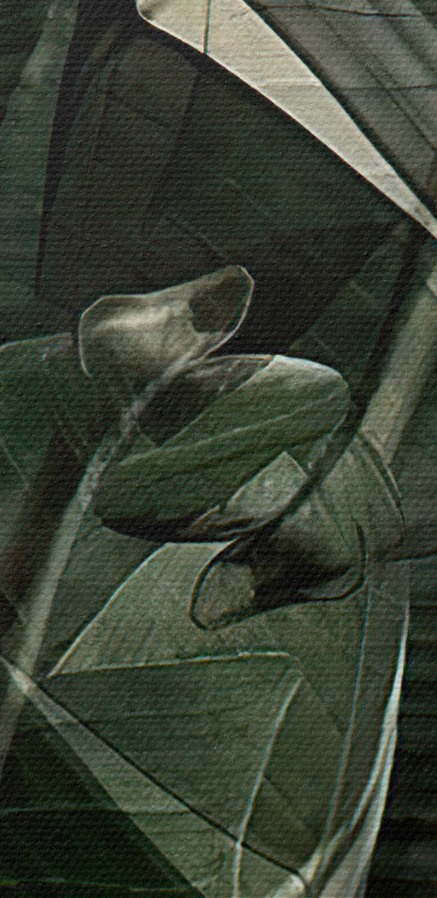 Detail rostliny