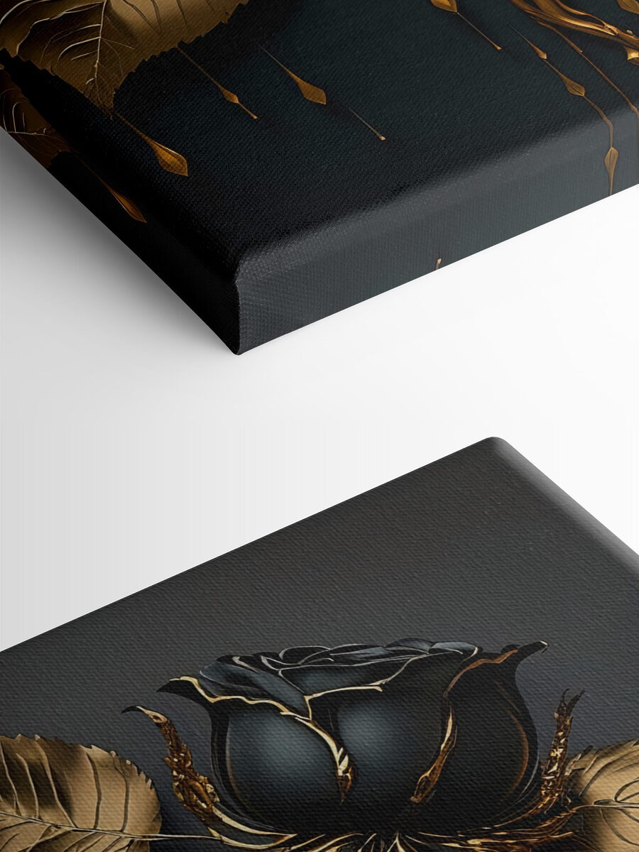 Elegantní půlnoční růže v květu Elegantní půlnoční růže v květu